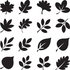 Variety of autumn leaf silhouettes in black and white collection nature