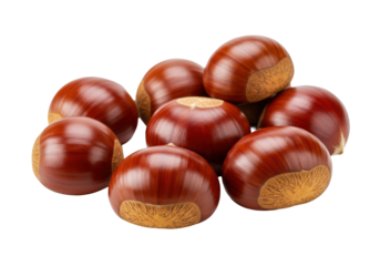 Fresh, raw European chestnuts, reddish-brown glossy shells, some clustered, on a pristine transparent seamless studio background with soft diffused lighting and sharp focus. Autumn food ingredients