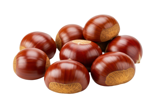 Fresh, raw European chestnuts, reddish-brown glossy shells, some clustered, on a pristine transparent seamless studio background with soft diffused lighting and sharp focus. Autumn food ingredients
