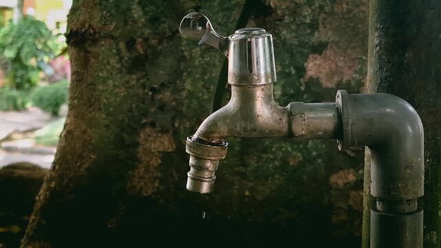 Leaking faucet attached to tree trunk, single drop of water wasted, symbolizing water scarcity.