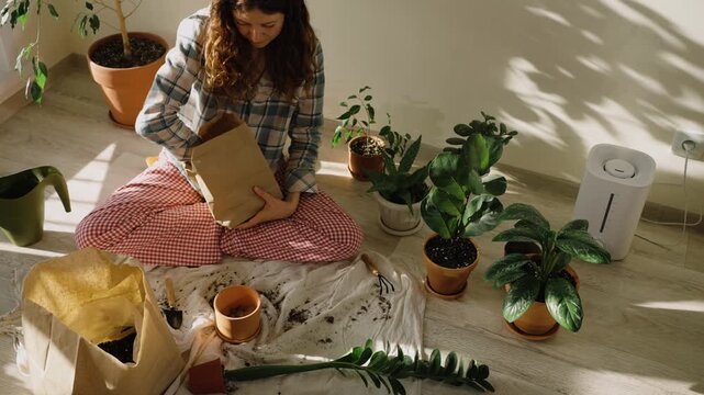 Young woman gardener sitting on the floor transplanting a zamioculcas, or zz plant, into a new clay pot, surrounded by other houseplants in a bright, sunlit room with natural light
