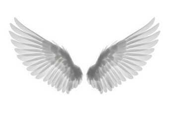 Fototapeta premium Pair of white angel wings isolated on a transparent background isolated on transparent background