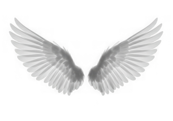 Pair of white angel wings isolated on a transparent background isolated on transparent background