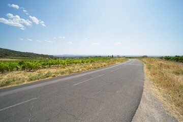 Landscape in southern France in the Herault region near Montpellier.