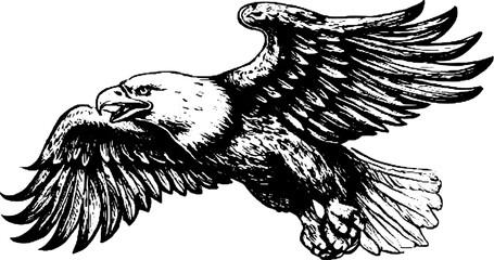 Eagle flying in outline style. Black and white vintage vector illustration, capturing intricate details in an engaging graphic set.