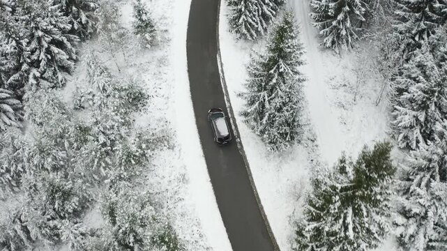 Aerial top-down view of a single car driving along a winding asphalt road through a snow-covered winter forest. Drone follow shot showing winter landscape, icy trees, and seasonal travel concept