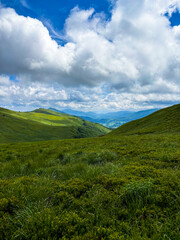 Beautiful landscape of summer mountains
