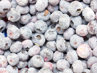 Frozen bog bilberry.