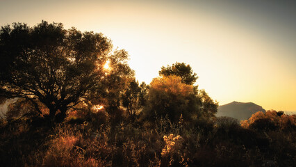 Sizilianische Sommerlandschaft im S&uuml;den von Europa in Italien