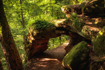 Felsenwald bei Pirmasens