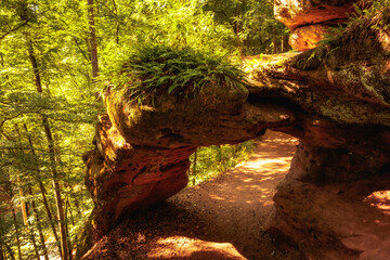 Felsenwald bei Pirmasens