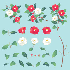 赤と白の椿の花　パーツのイラスト素材