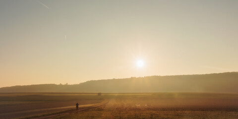 Goldener Herbstwald in Deutschland