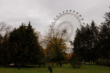 Ferris wheel towering over a tranquil park on a cloudy autumn day