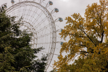 Colorful autumn leaves contrast with the towering ferris wheel on a cloudy day in the city park