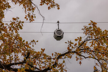 Autumn leaves frame a unique overhead transport system in a cloudy sky