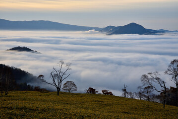 屈斜路湖の雲海