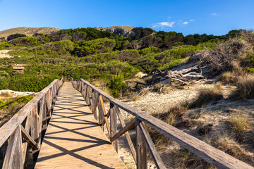 Fototapeta premium Naturschutzgebiet in den Dünen von Cala Mesquida, Mallorca, Spanien