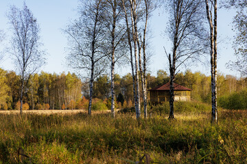 Scenic autumn landscape featuring a wooden gazebo surrounded by colorful trees and tall grasses in nature