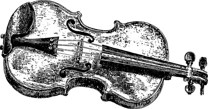 Vintage violin illustration in black and white. Detailed musical instrument vector set showcasing craftsmanship and design.