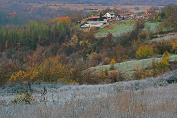 Chilly November morning in the country