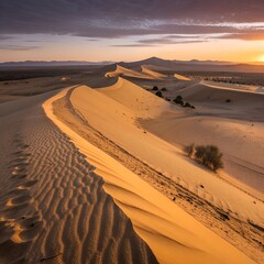 sunset in the sahara desert