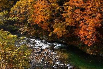 秋の渓流