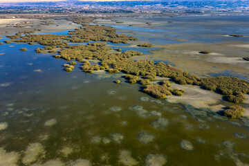 Koroneia Wetlands Exposed. A Landscape Shaped by Drought and Climate Change