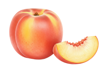 Delicate watercolor illustration of a whole ripe peach and a juicy slice showing natural segments on a transparent background with copy space. Concept of natural sweetness and purity