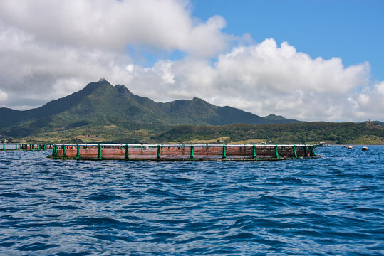 A fish farm in Mauritius showing aquaculture ponds used for fish cultivation, surrounded by natural tropical landscape.