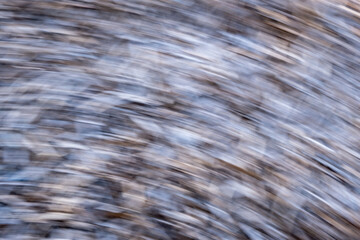 Blurred textures of natural elements created by movement during a windy day in a forest