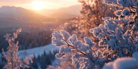 Beautiful winter scene of a snow-covered landscape at sunset with the silhouettes of pine tree branches.