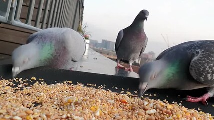 Intense darkness swirling with captivating mystery and intrigue, perfect for suspenseful cinematic projects