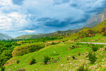 Picturesque mountain landscape of pasture on mountain slope. North Caucasus