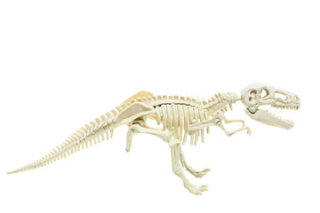 Children's plastic toy of a rex dinosaur skeleton on white