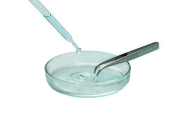 Droplet Falling Into a Petri Dish with Tweezers