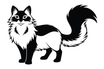 Black and white fox looks friendly with a fluffy tail, standing in place