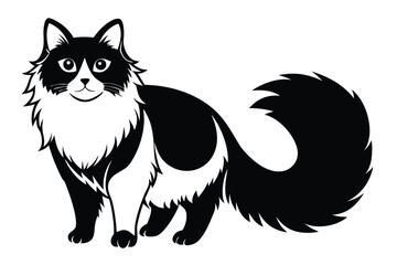 Friendly black and white cat is standing, looking ahead with a bushy tail curled up