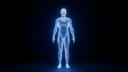 Human body hologram projection displaying anatomy and physiology on dark background