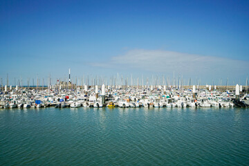 many boats in the harbor