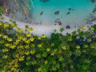 Tropical green forest island sea beach wave tranquil nature summer vacation