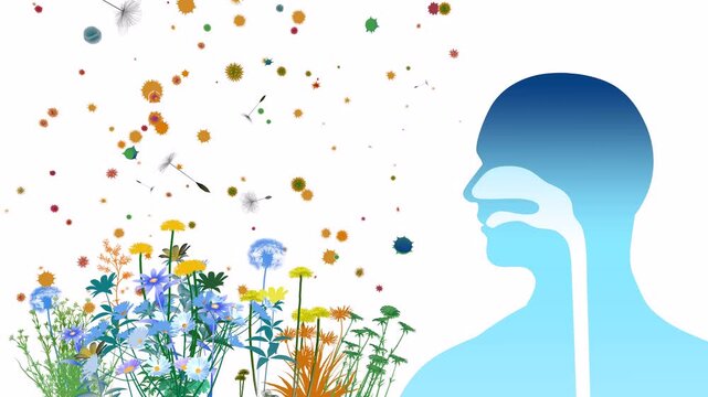 3D animation of the upper respiratory system (ENT) alongside flowers, plants, and pollen that triggers spring allergies. Front view with a flat color graphic style on a white background.