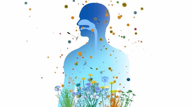 3D animation of the upper respiratory system (ENT) alongside flowers, plants, and pollen that triggers spring allergies. Front view with a flat color graphic style on a white background.