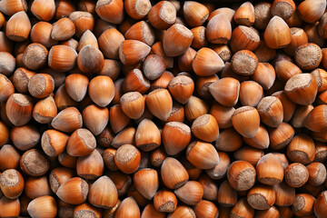 lots of hazelnuts colorful food background
