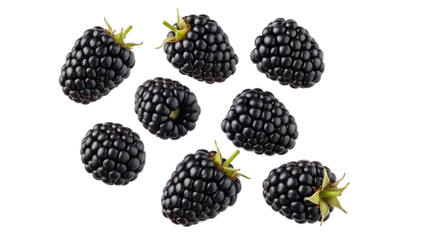 Fresh and Ripe Blackberries Scattered on a White Background - Healthy and Delicious Fruit