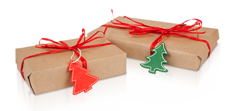 Two gift boxes made of brown kraft paper with red ribbons and tree tags on a white background.