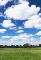 green field and blue sky