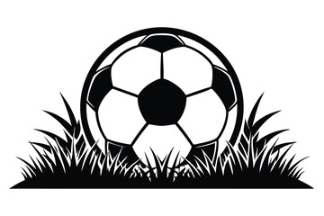 Obraz premium shows the black and white soccer ball resting in a grassy field