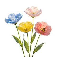 Vibrant Multicolored Flowers with Bee