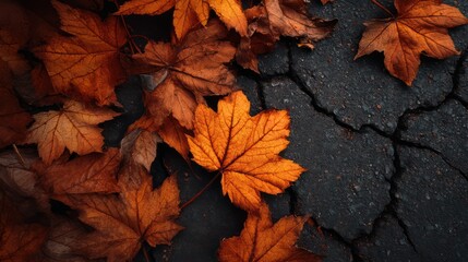 Fallen autumn leaves layered cracked asphalt richly textured contrast between organic and artificial sharp on leaf edges and